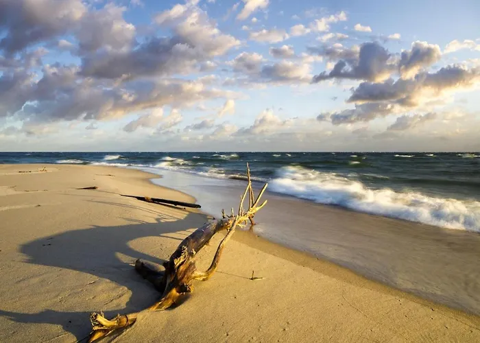 Spacious Homes Near The In Casa vacanze